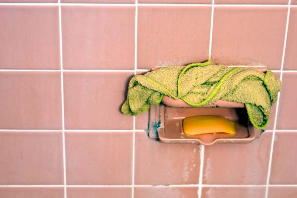 Mold in Shower